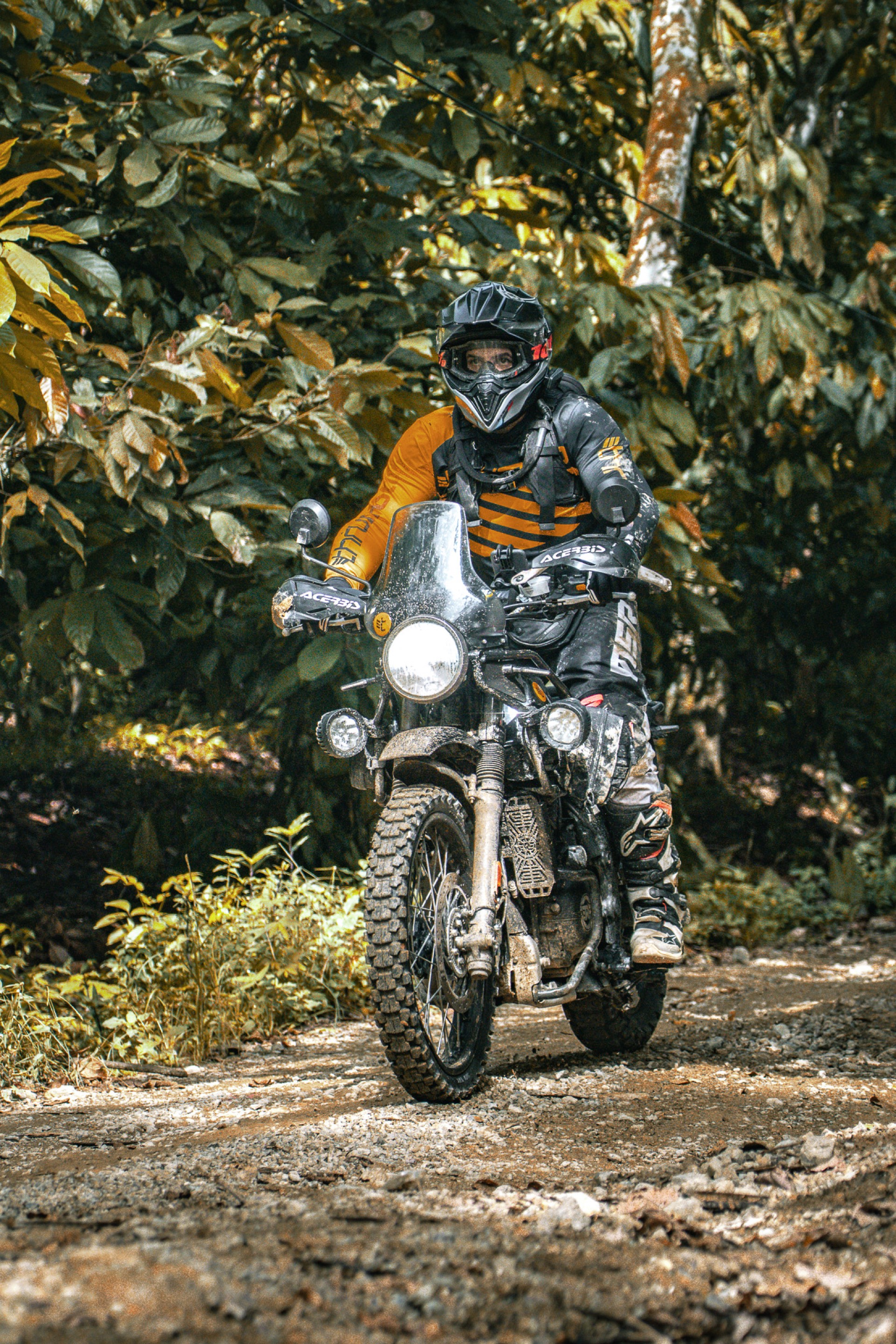 Suzuki GSX 125R